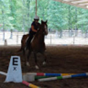 Meet your Posher, Laura